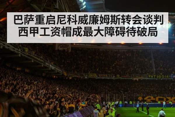 football stadium night crowd